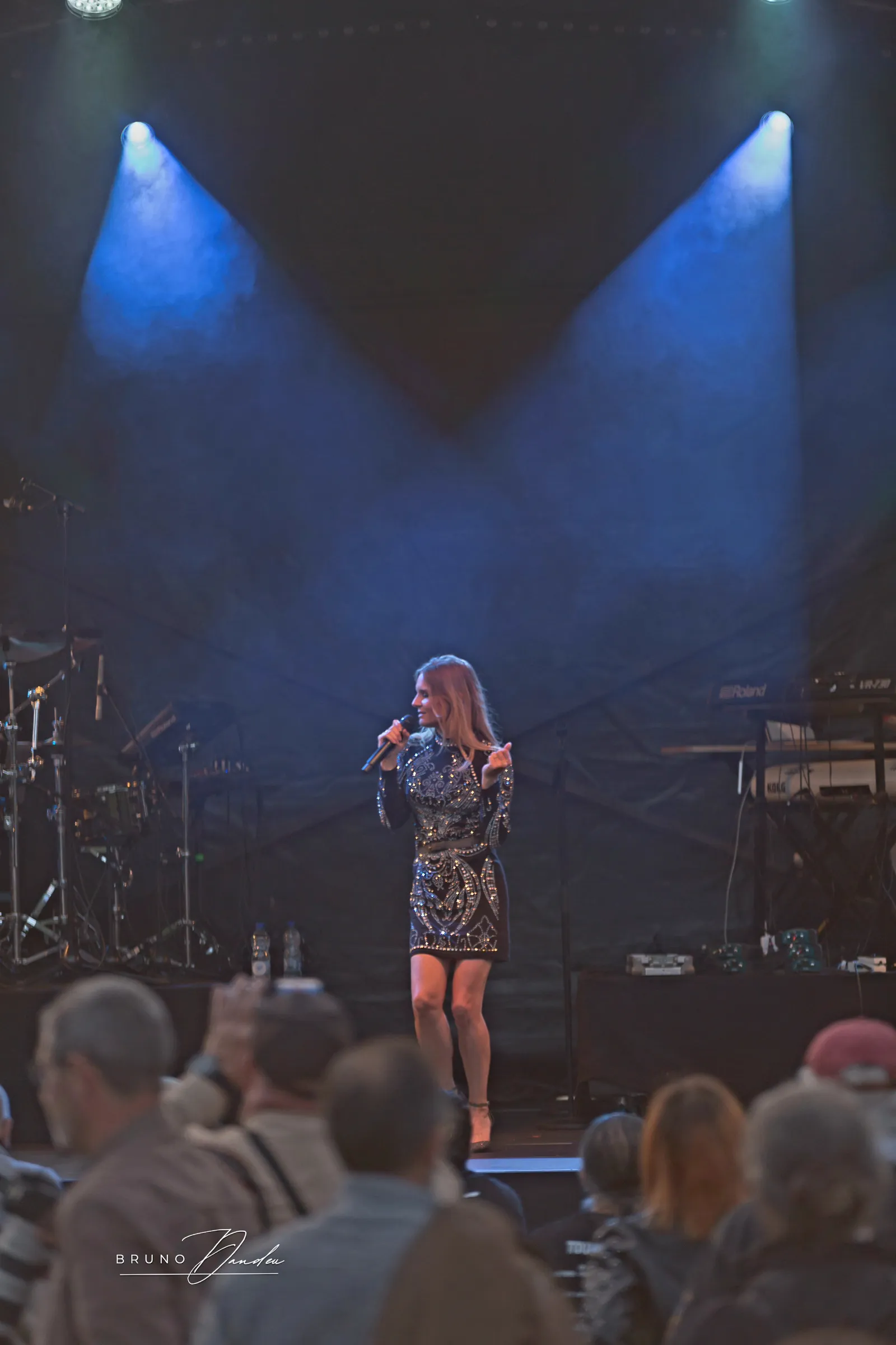 Entre-D'eux, tribute Céline Dion, en concert (photo 16)